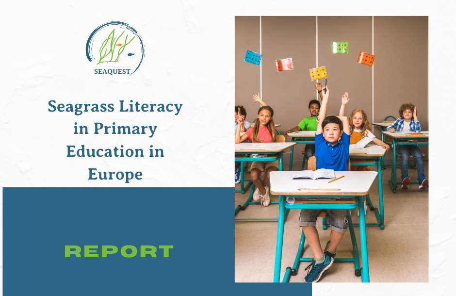 SEAQUEST website posts (940 x 610 px)